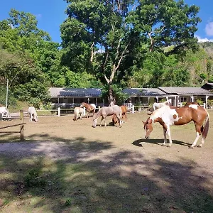 https://ranch-black-horse.comcaribbean.com